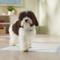 Show in main carousel: Frisco Large Premium Dog Training & Potty Pads, 22 x 23-in, Unscented, 150 count, Mermaid Print slide 8 of 11
