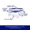 Show in main carousel: Frisco Large Ultra Premium Non-Skid Dog Training & Potty Pads, 22 x 23-in, Unscented, 300 count slide 6 of 9