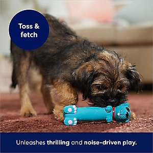 Frisco Latex Squeaky Puppy Toy, Blue, X-Small/Small