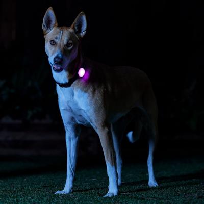 Show full view: Frisco LED Rechargeable Clip Light slide 5 of 7