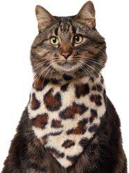 Frisco Leopard Faux Fur Dog & Cat Bandana, X-Small/Small