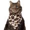 Show in main carousel: Frisco Leopard Faux Fur Dog & Cat Bandana, X-Small/Small slide 1 of 9