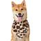 Show in main carousel: Frisco Leopard Faux Fur Dog & Cat Bandana, X-Small/Small slide 3 of 9