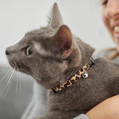 Show full view: Frisco Leopard Print Cat Collar, 8 to 12-in neck, 3/8-in wide slide 5 of 7