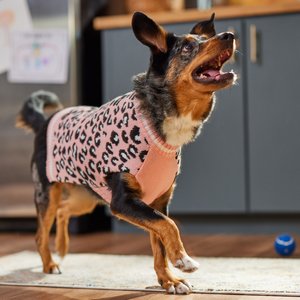 Frisco Leopard Print Dog & Cat Sweater, Pink, Large