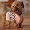 Show in main carousel: Frisco Leopard Print Dog & Cat Sweater, Pink, Small slide 6 of 8