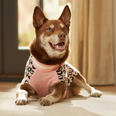 Show full view: Frisco Leopard Print Dog & Cat Sweater, Pink, X-Large slide 6 of 8