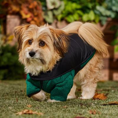 Show full view: Frisco Lightweight Basic Dog & Cat Puffer, Black, Medium slide 8 of 11