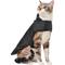 Show in main carousel: Frisco Lightweight Basic Dog & Cat Puffer, Black, Medium slide 2 of 11