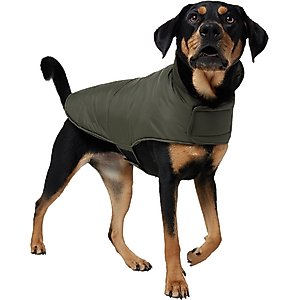 Carhartt Firm Duck Insulated Dog Chore Coat, Deep Wine