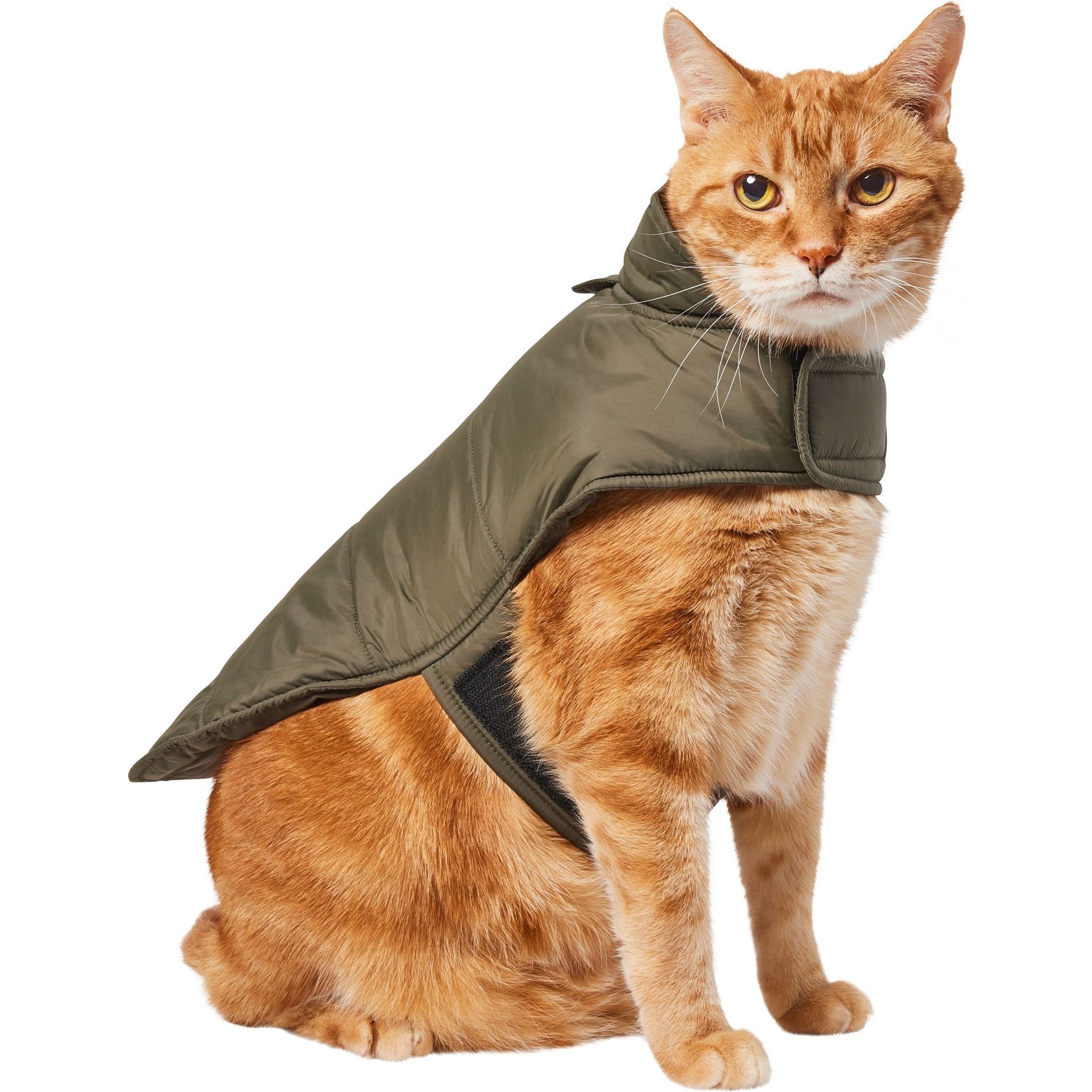 Frisco Lightweight Basic Dog & Cat Puffer, Green, X-Small