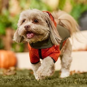 Frisco Lightweight Basic Dog & Cat Puffer, Green, X-Small