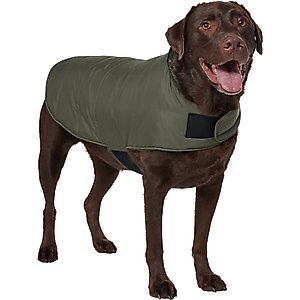 Frisco Lightweight Basic Dog & Cat Puffer, Green, XX-Large