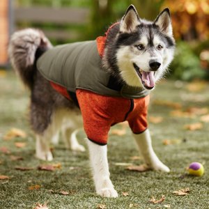 Frisco Lightweight Basic Dog & Cat Puffer, Green, XX-Large