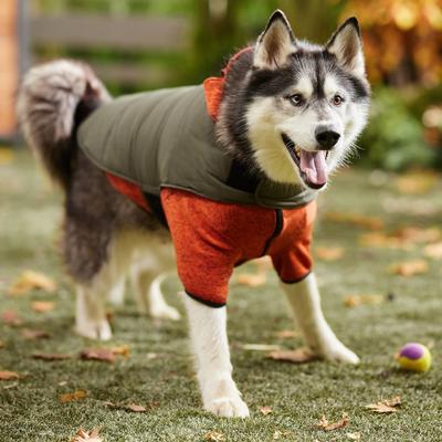 Show full view: Frisco Lightweight Basic Dog & Cat Puffer, Green, XX-Large slide 7 of 10