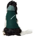 Frisco Lightweight Classic Dog & Cat Coat, Olive, Medium