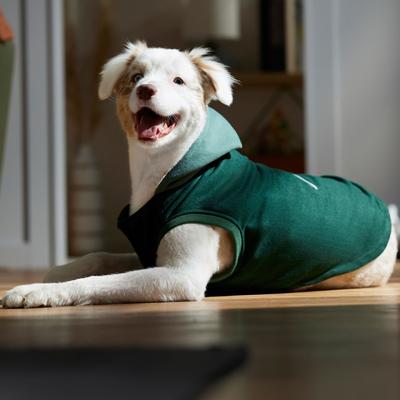 Show full view: Frisco Lightweight Classic Dog & Cat Coat, Olive, Medium slide 5 of 8