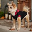 Show in main carousel: Frisco Lightweight Classic Dog & Cat Coat, Red, XX-Large slide 5 of 8