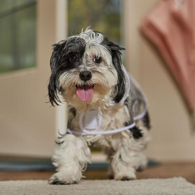 Show full view: Frisco Lightweight Clear Vinyl Dog Raincoat, Clear, Small slide 6 of 9