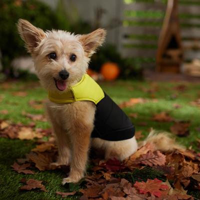 Show full view: Frisco Lightweight Colorblock Puffer Dog & Cat Jacket, Black, Medium slide 5 of 8