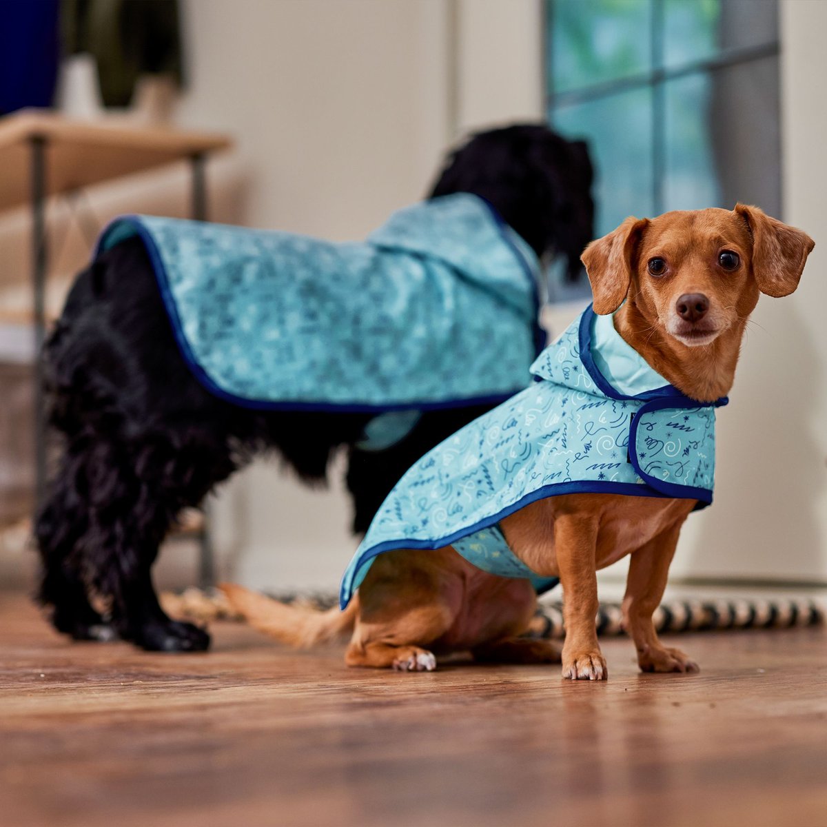 Frisco Lightweight Doodle Dog Raincoat