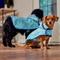 Show in main carousel: Frisco Lightweight Doodle Dog Raincoat, Medium slide 6 of 8