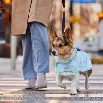Show full view: Frisco Lightweight Flamingo Dog Raincoat, Medium slide 6 of 8