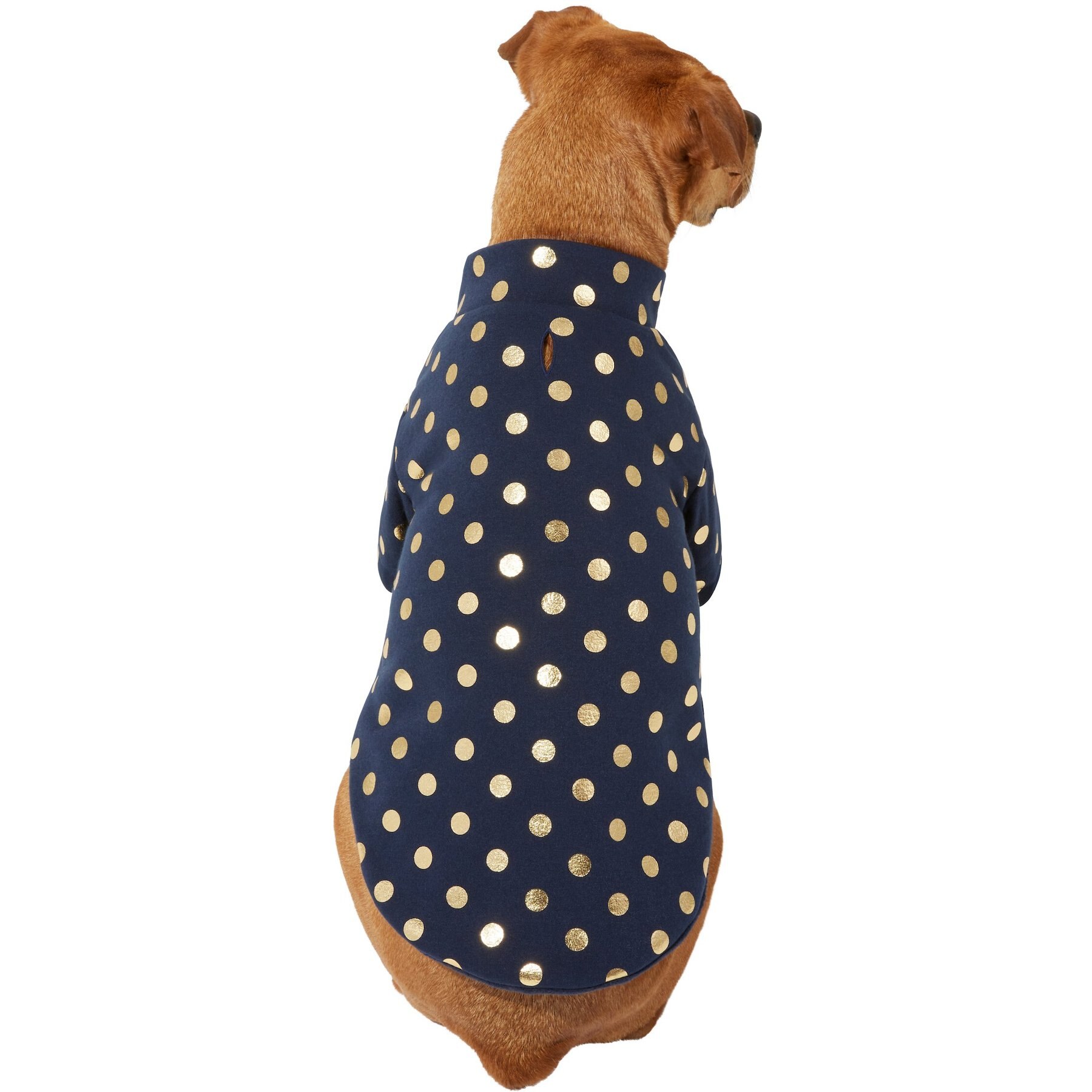 Frisco Lightweight Gold Dotted Dog & Cat Jacket, Navy, Large