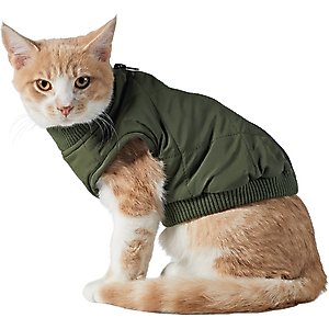 Frisco Lightweight Insulated Bomber Dog & Cat Jacket, Olive, Small