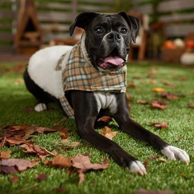 Frisco Lightweight Plaid Pocket Dog & Cat Coat