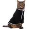 Show in main carousel: Frisco Lightweight Polar Fleece Dog & Cat 1/4 Zip, Black, Small slide 1 of 11
