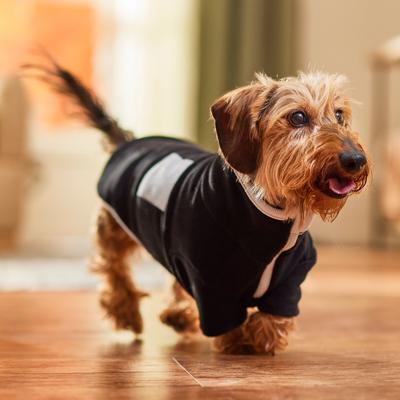 Show full view: Frisco Lightweight Polar Fleece Dog & Cat 1/4 Zip, Black, Small slide 8 of 11