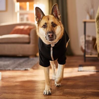 Show full view: Frisco Lightweight Polar Fleece Dog & Cat 1/4 Zip, Black, XX-Large slide 7 of 10