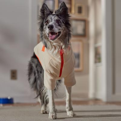 Show full view: Frisco Lightweight Polar Fleece Dog & Cat 1/4 Zip, Cream, Large slide 8 of 11