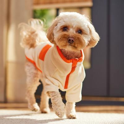 Show full view: Frisco Lightweight Polar Fleece Dog & Cat 1/4 Zip, Cream, Small slide 8 of 11