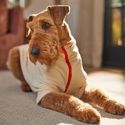 Show full view: Frisco Lightweight Polar Fleece Dog & Cat 1/4 Zip, Cream, XX-Large slide 8 of 11