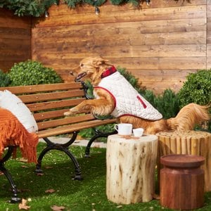 Frisco Lightweight Quilted Water-Resistant Reversible Insulated Dog & Cat Jacket, Red Plaid/Ivory, Small