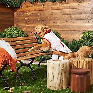 Frisco Lightweight Quilted Water-Resistant Reversible Insulated Dog & Cat Jacket, Gray/Red Plaid, Medium