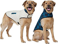 Frisco Lightweight Quilted Water-Resistant Reversible Insulated Dog & Cat Jacket, Navy/Black, XX-Large