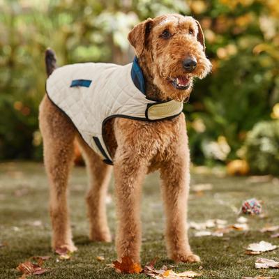 Show full view: Frisco Lightweight Quilted Water-Resistant Reversible Insulated Dog & Cat Jacket, Navy/Black, XX-Large slide 6 of 10