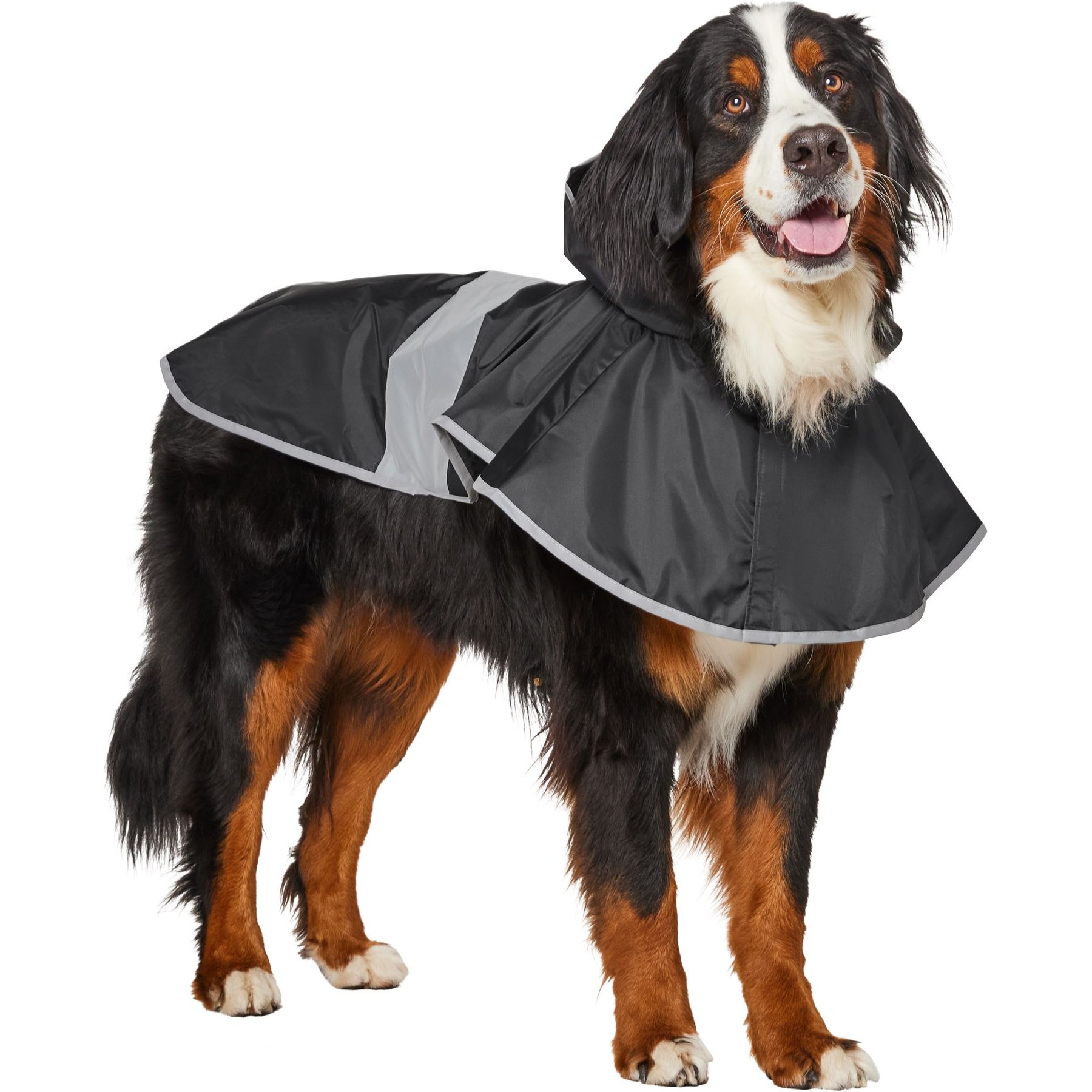 Frisco Lightweight Rainy Days Dog Raincoat, Black, XXX-Large