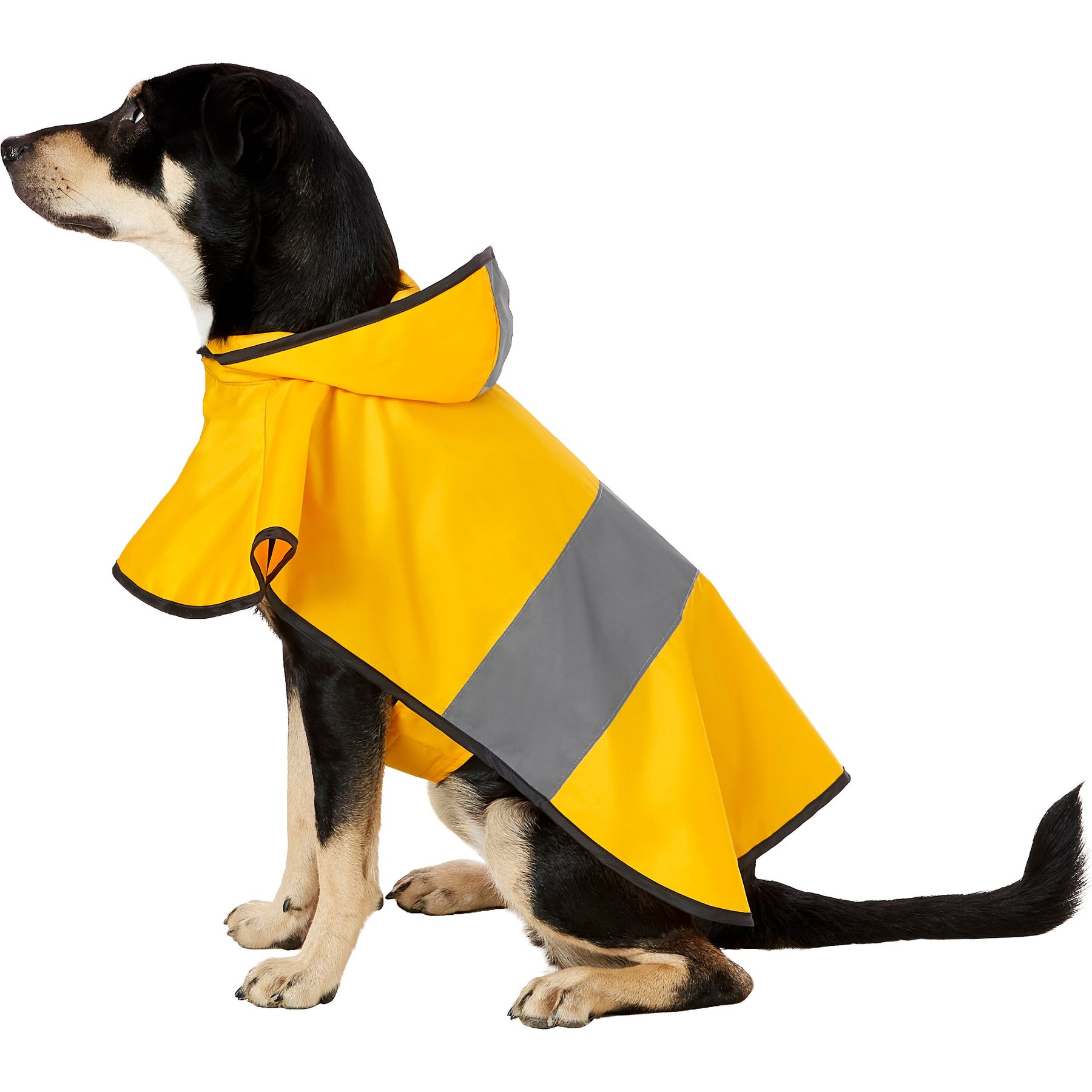 Frisco Lightweight Rainy Days Dog Raincoat, Yellow, Large