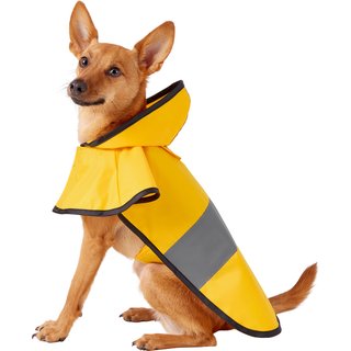 Frisco Lightweight Rainy Days Dog Raincoat, Yellow, Small slide 1 of 8