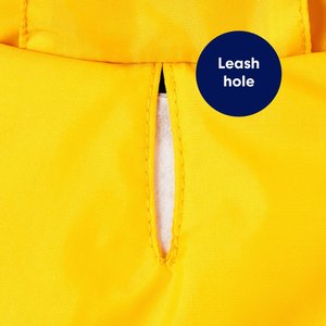 Frisco Lightweight Rainy Days Dog Raincoat, Yellow, Small