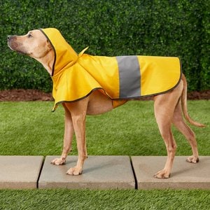 Frisco Lightweight Rainy Days Dog Raincoat, Yellow, Small