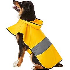 Frisco Lightweight Rainy Days Dog Raincoat, Yellow, X-Large