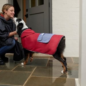 Frisco Lightweight Reversible Packable Travel Dog Raincoat, Red, X-Small