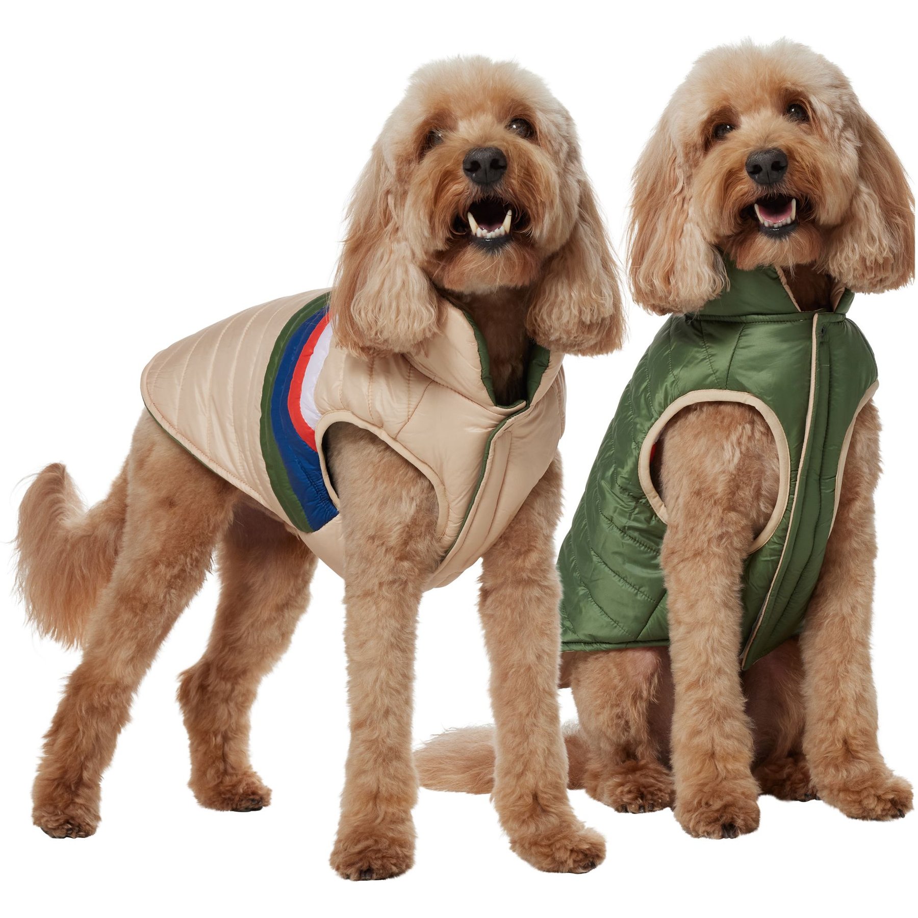 Frisco Lightweight Reversible Striped Packable Dog & Cat Puffer, Cream, Large