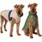 Show in main carousel: Frisco Lightweight Reversible Striped Packable Dog & Cat Puffer, Cream, XX-Large slide 1 of 9