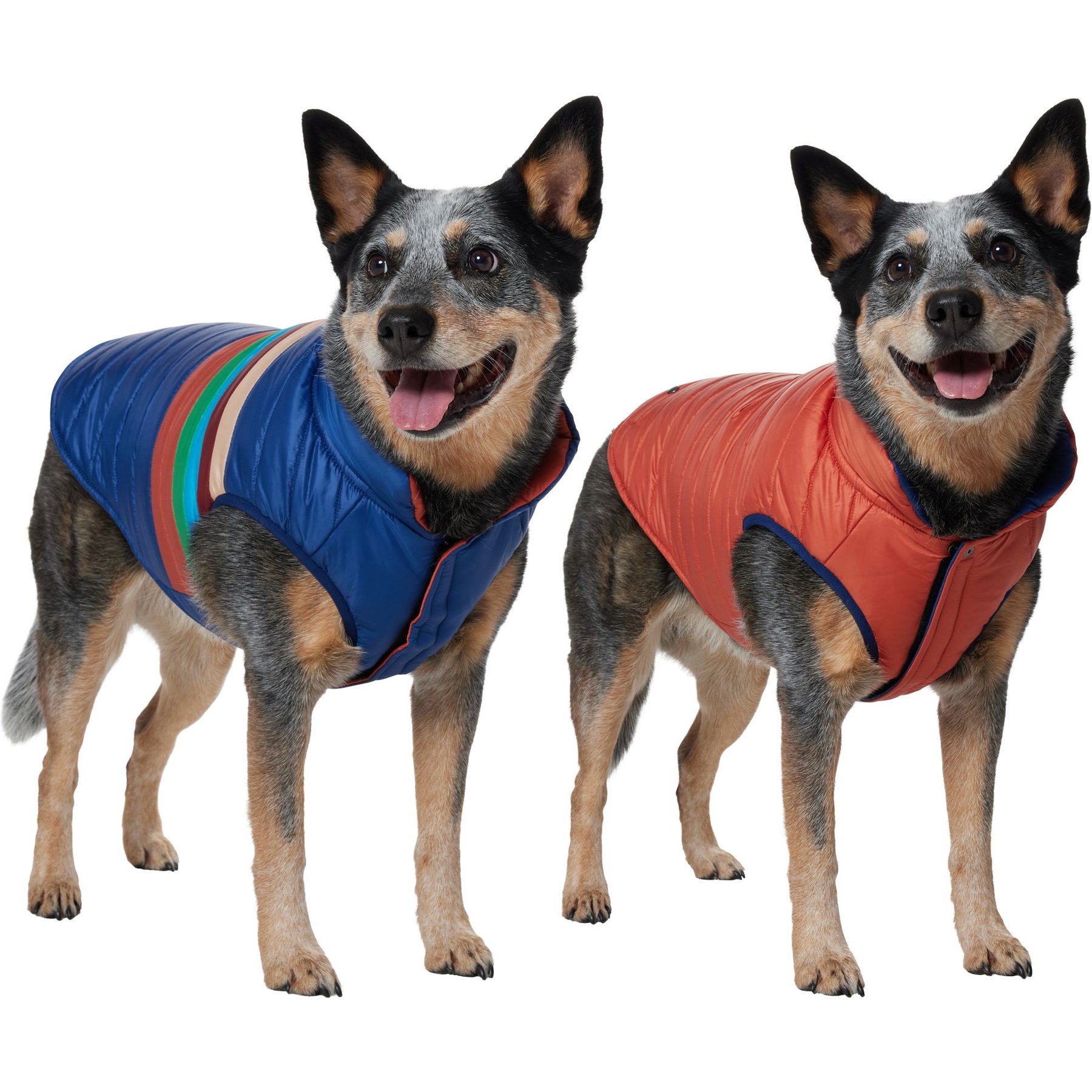 Frisco Lightweight Reversible Striped Packable Dog & Cat Puffer, Navy, Large